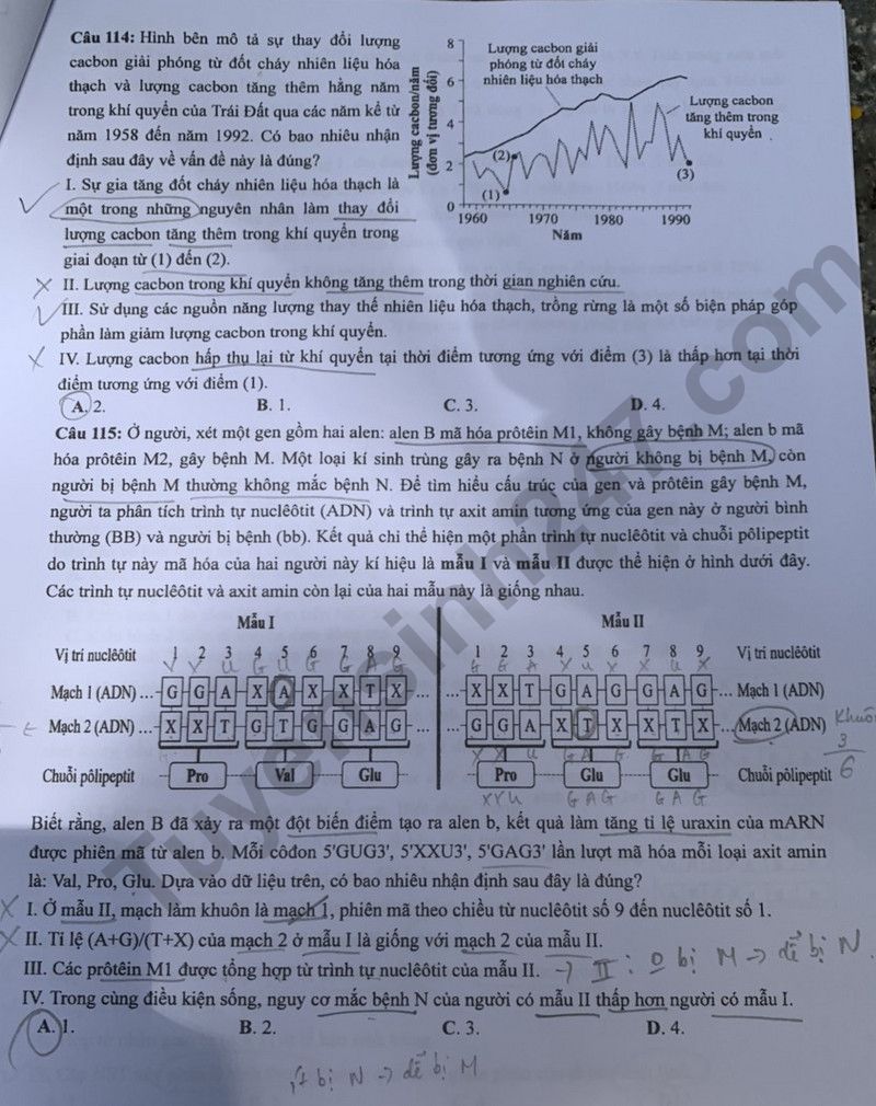 Dap an de thi tot nghiep THPT nam 2024 - mon Sinh ma de 217