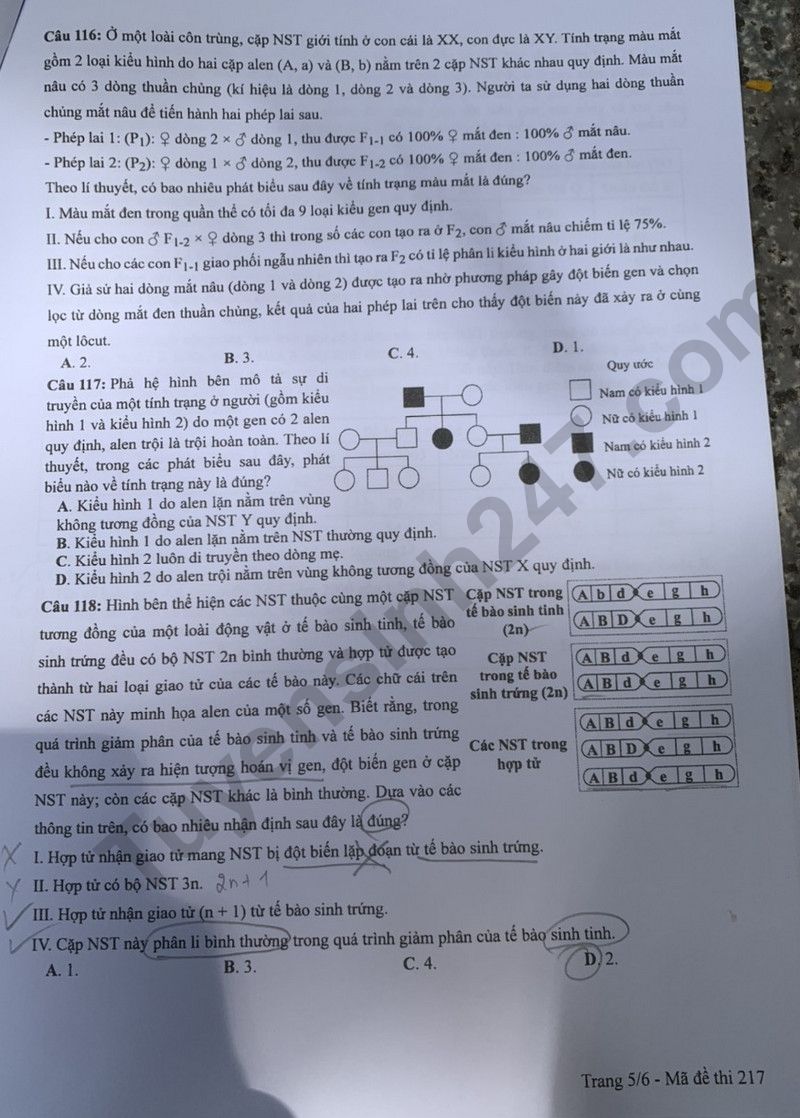 Dap an de thi tot nghiep THPT nam 2024 - mon Sinh ma de 217