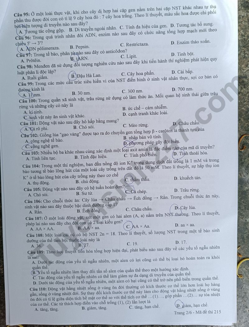 Dap an de thi mon Sinh ma de 215 tot nghiep THPT 2024