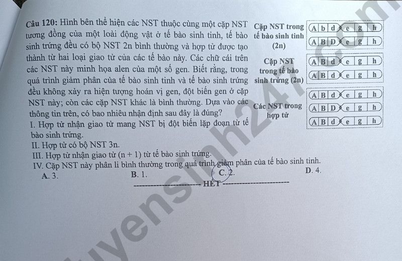 Dap an de thi mon Sinh ma de 215 tot nghiep THPT 2024