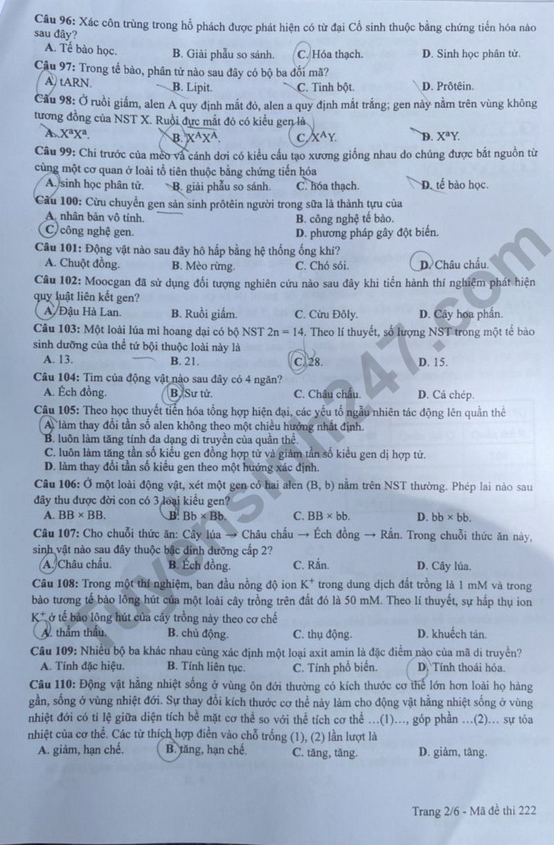 Dap an de thi tot nghiep THPT 2024 mon Sinh - Ma de 222