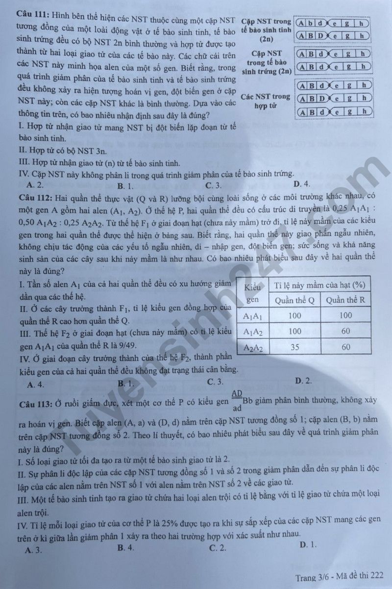 Dap an de thi tot nghiep THPT 2024 mon Sinh - Ma de 222
