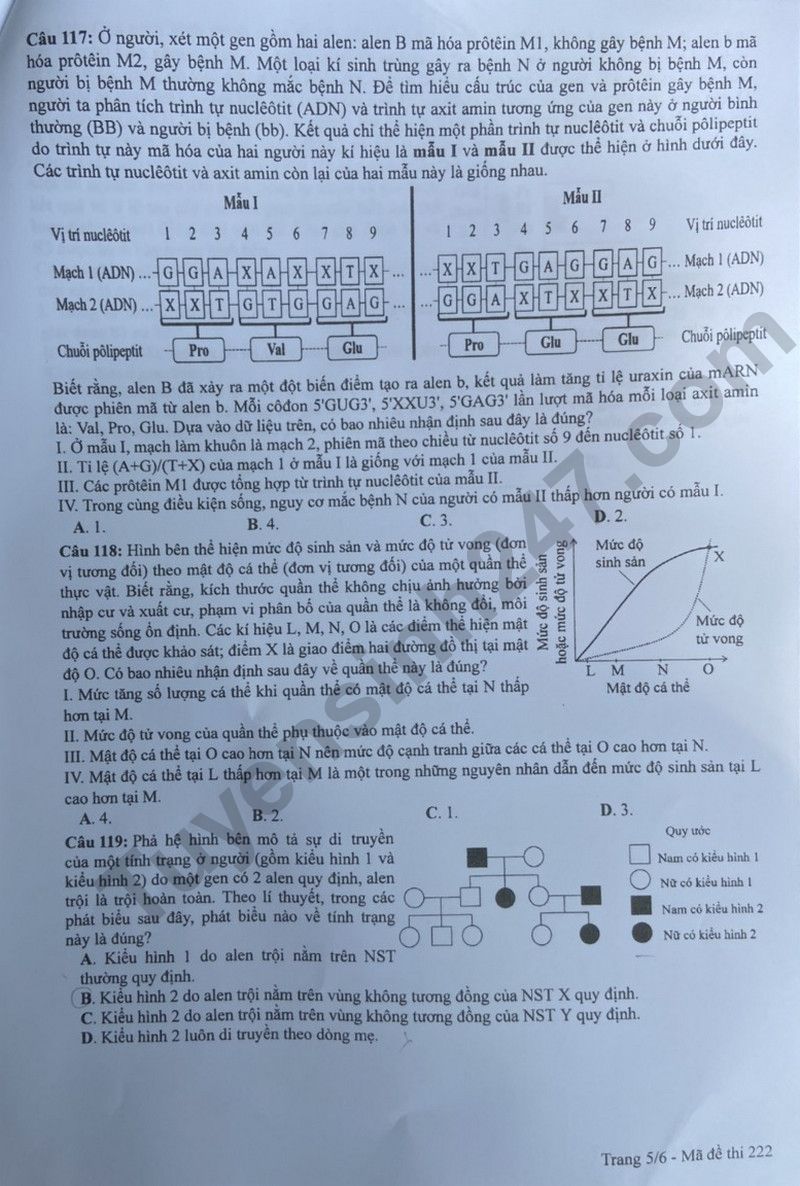 Dap an de thi tot nghiep THPT 2024 mon Sinh - Ma de 222
