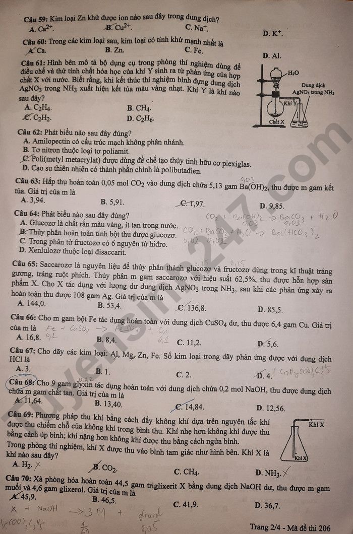 Dap an de thi mon Hoa - ma de 206 tot nghiep THPT 2024