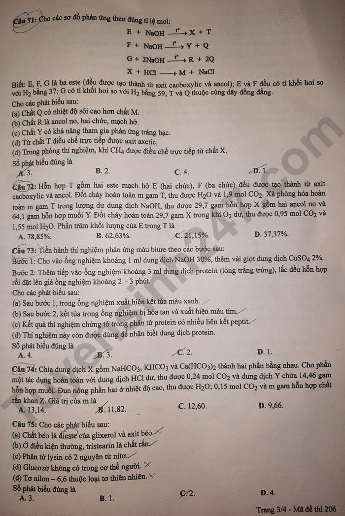 Dap an de thi mon Hoa - ma de 206 tot nghiep THPT 2024