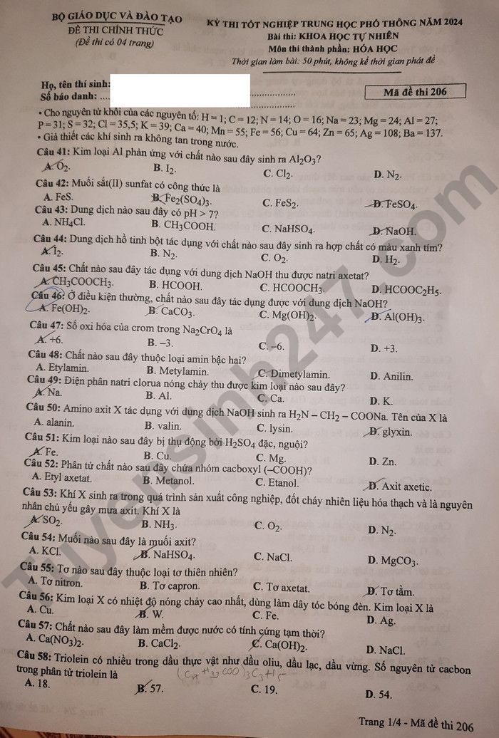 Dap an de thi mon Hoa - ma de 206 tot nghiep THPT 2024