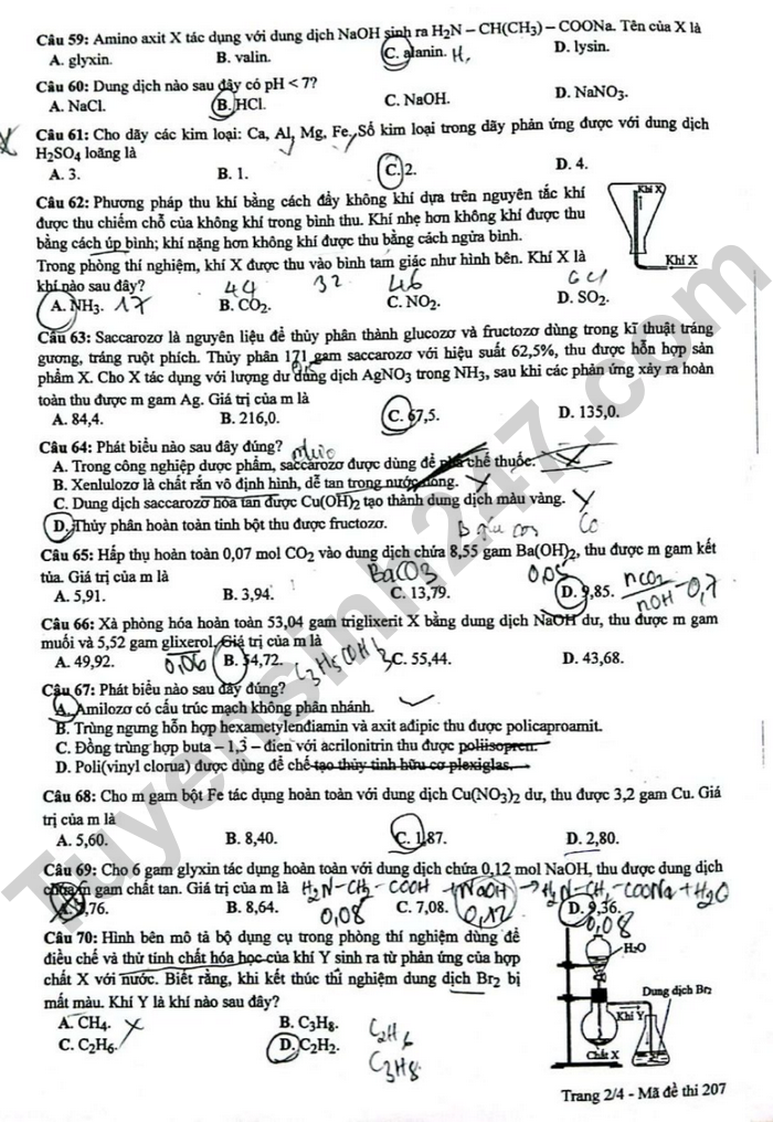 Dap an de thi mon Hoa ma de 207 tot nghiep THPT 2024