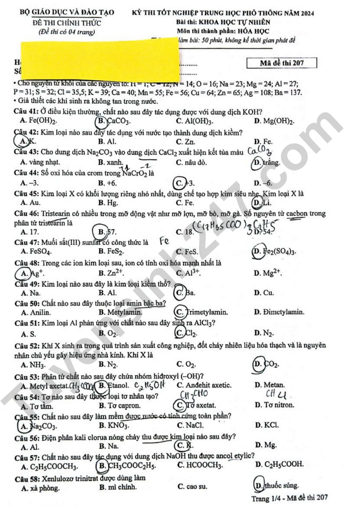 Dap an de thi mon Hoa ma de 207 tot nghiep THPT 2024