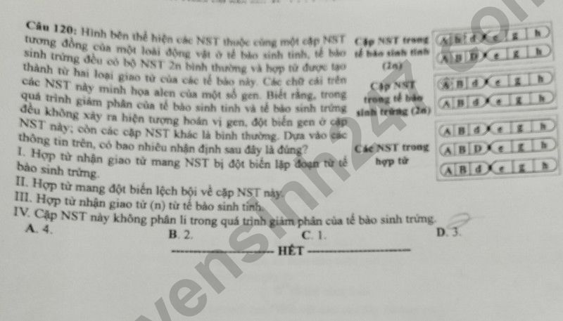 Dap an de thi tot nghiep THPT mon Sinh 2024 - Ma de 203