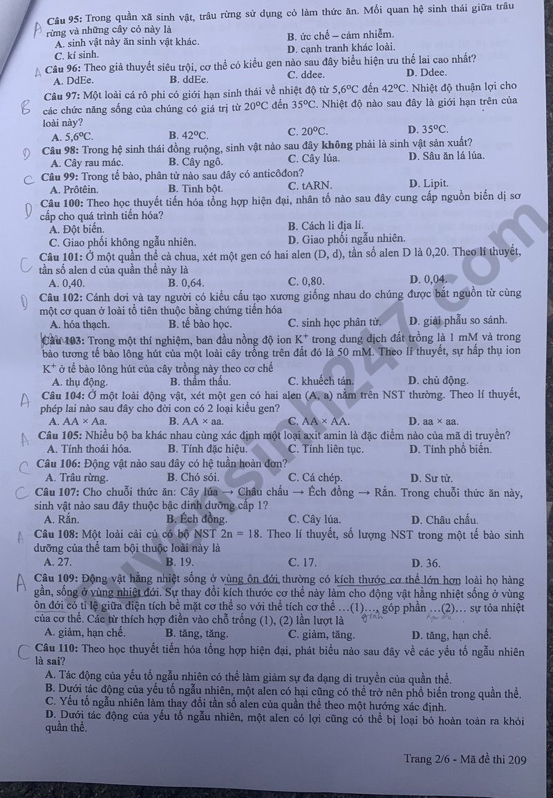 Dap an de thi tot nghiep THPT mon Sinh - Ma de 209 nam 2024