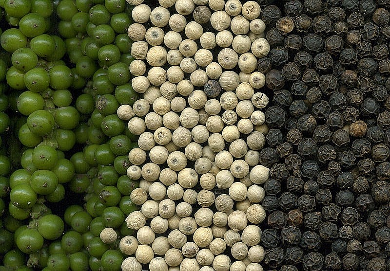 xuất khẩu hồ tiêu sang Trung Quốc - thị trường từng chiếm ưu thế trong nhiều năm - đã cho thấy sự khởi sắc trở lại trong tháng 5 xuất khẩu hồ tiêu sang Trung Quốc - thị trường từng chiếm ưu thế trong nhiều năm - đã cho thấy sự khởi sắc trở lại trong tháng 5