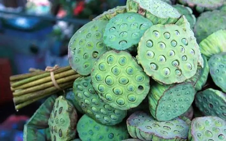 Giá nông sản hôm nay ngày 1/7/2024: Giá tiêu ổn định ở mức 157.000 đồng/kg; giá bơ 034 thấp kỷ lục Giá nông sản hôm nay ngày 1/7/2024: Giá tiêu ổn định ở mức 157.000 đồng/kg; giá bơ 034 thấp kỷ lục