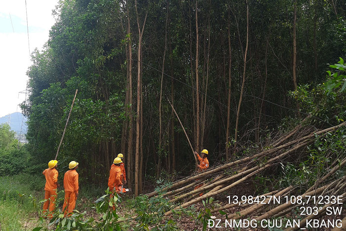 PC Gia Lai: Đảm bảo an toàn điện trong mùa mưa bão năm 2024 PC Gia Lai: Đảm bảo an toàn điện trong mùa mưa bão năm 2024