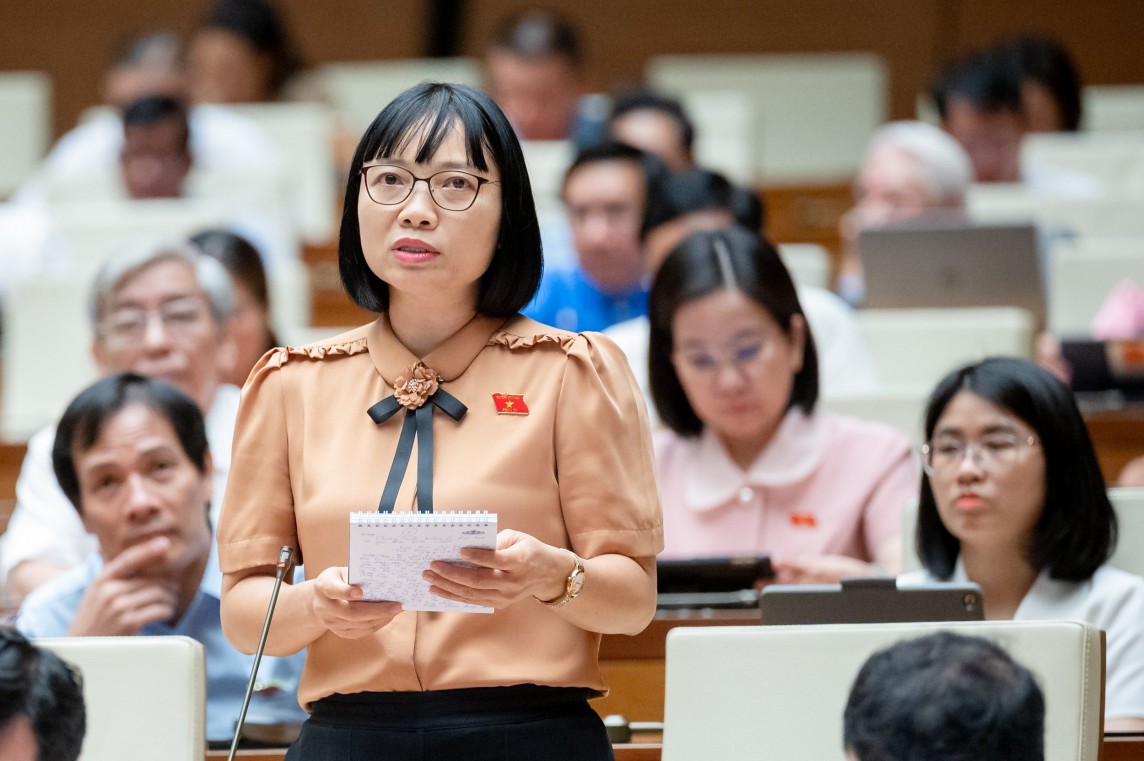 Đại biểu Nguyễn Thị Việt Nga - Đoàn ĐBQH tỉnh Hải Dương Đại biểu Nguyễn Thị Việt Nga - Đoàn ĐBQH tỉnh Hải Dương