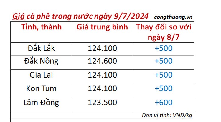 Giá cà phê hôm nay 9/7/2024: Giá cà phê trong nước tiếp tục tăng nhẹ