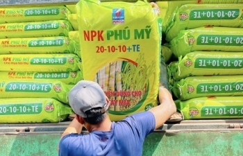 6 tháng đầu năm 2024, PVFCCo tăng trưởng ấn tượng trong tiêu thụ và mở rộng thị trường