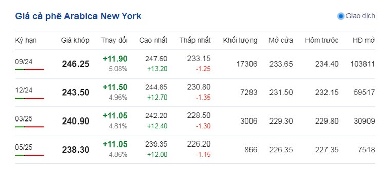 Dự báo giá cà phê ngày 10/7/2024: Tiếp tục tăng hướng đến vùng giá mới?