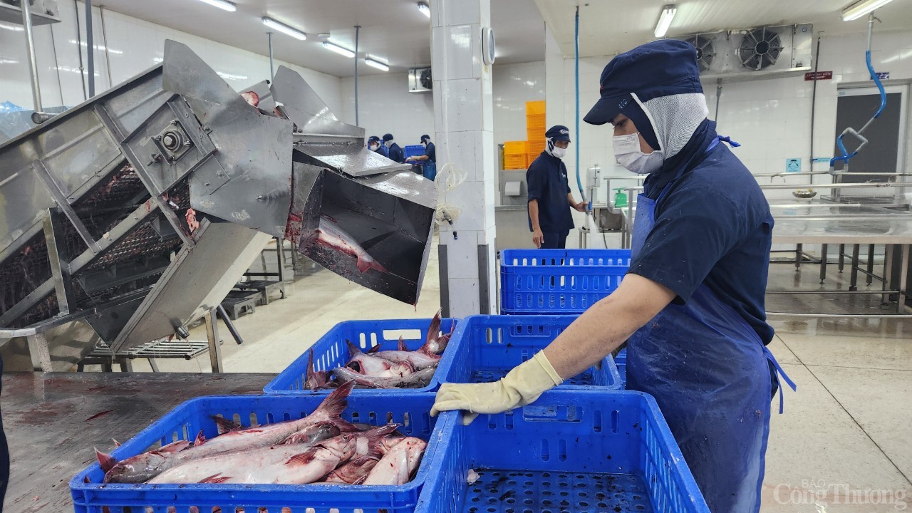 Chùm ảnh: Bộ trưởng Bộ Công Thương thăm nhà máy chế biến thuỷ sản ở Tiền Giang