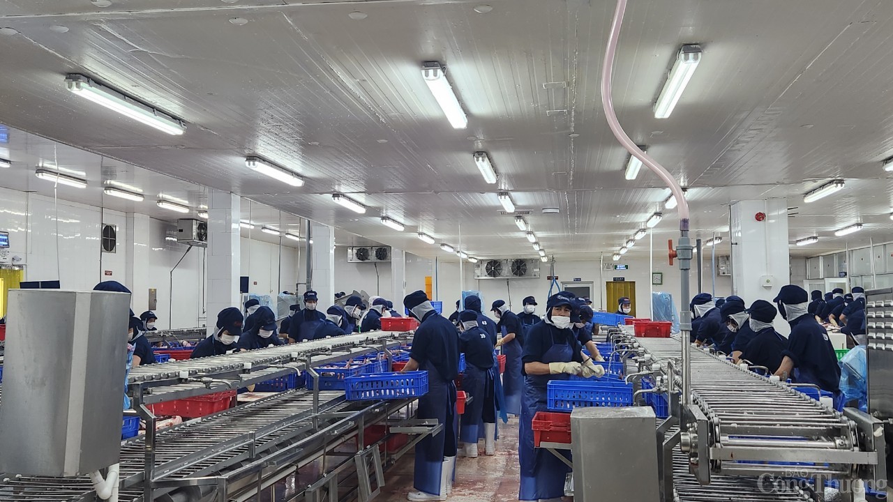 Chùm ảnh: Bộ trưởng Bộ Công Thương thăm nhà máy chế biến thuỷ sản ở Tiền Giang