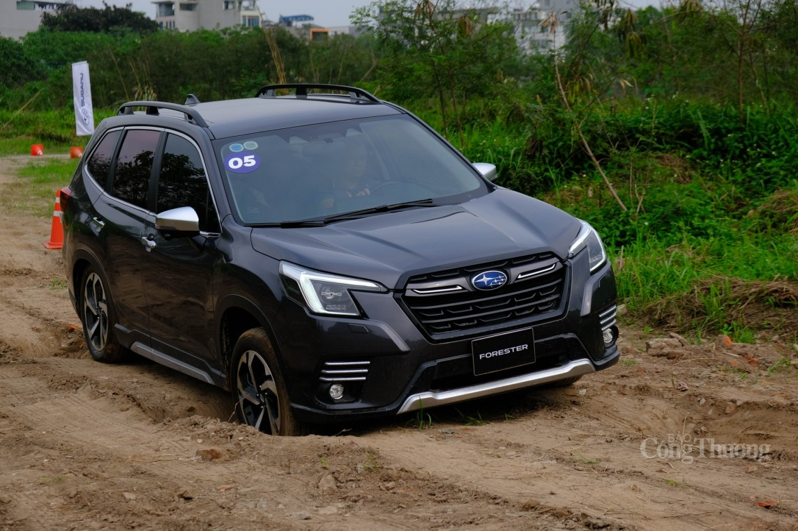 Subaru sẽ được phân phối tại Việt Nam dưới dạng nhập khẩu từ Nhật Bản trong tương lai. Subaru sẽ được phân phối tại Việt Nam dưới dạng nhập khẩu từ Nhật Bản trong tương lai.