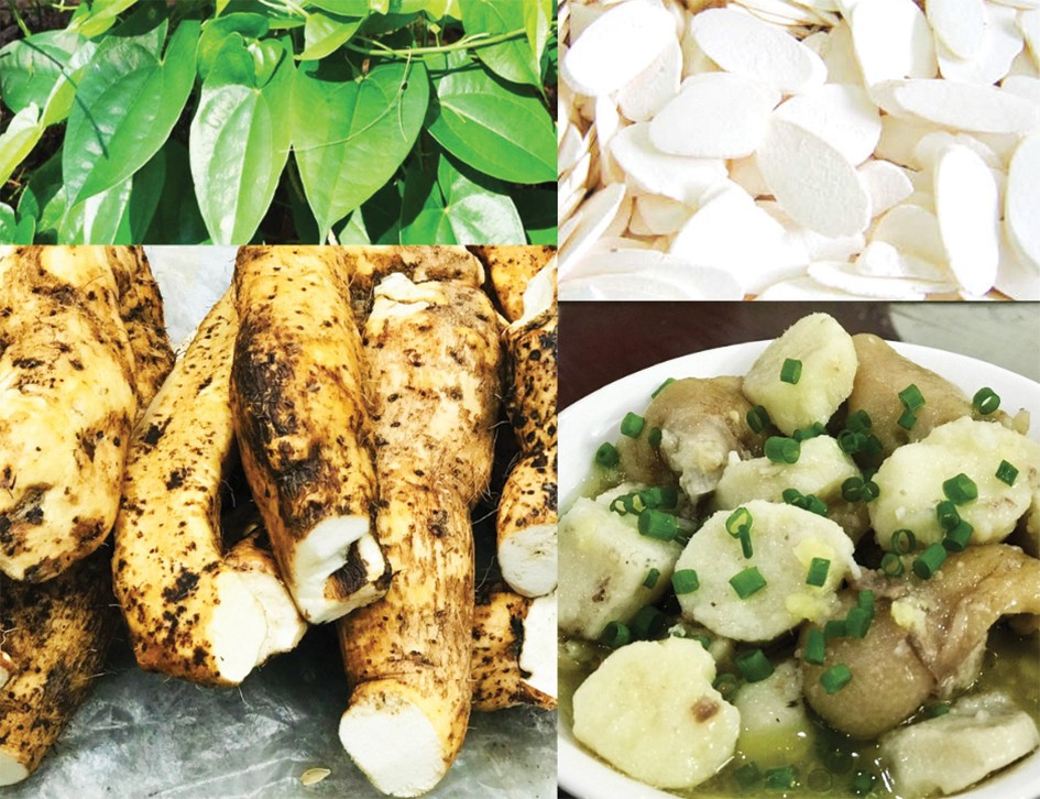 Ảnh minh họa Ảnh minh họa