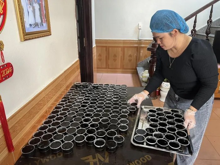 Bánh thạch đen nhân đậu xanh – sự kết hợp “lạ lùng” hấp dẫn Bánh thạch đen nhân đậu xanh – sự kết hợp “lạ lùng” hấp dẫn