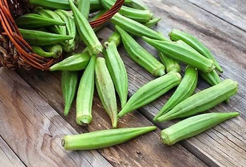 Chất nhày trong đậu bắp có công dụng giảm được cholesterol huyết, hỗ trợ hạ đường huyết ở bệnh nhân tiểu đường. Ảnh minh họa Chất nhày trong đậu bắp có công dụng giảm được cholesterol huyết, hỗ trợ hạ đường huyết ở bệnh nhân tiểu đường. Ảnh minh họa