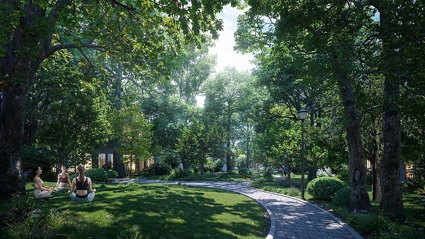 Cư dân tắm rừng ngay bên thềm nhà. Cư dân tắm rừng ngay bên thềm nhà.