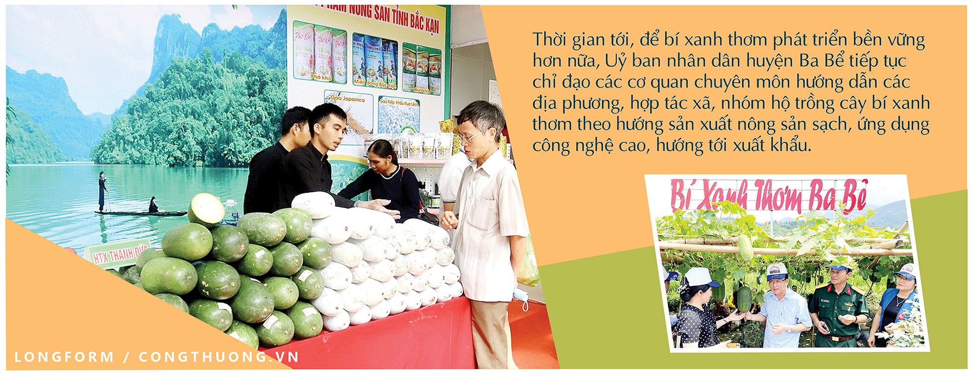 Nâng tầm giá trị trái bí xanh thơm Bắc Kạn Nâng tầm giá trị trái bí xanh thơm Bắc Kạn