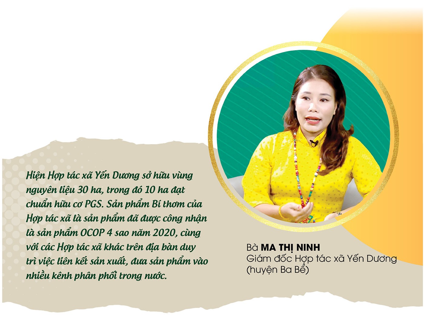 Nâng tầm giá trị trái bí xanh thơm Bắc Kạn Nâng tầm giá trị trái bí xanh thơm Bắc Kạn