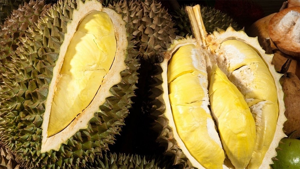 Công dụng chữa bệnh từ vỏ quả sầu riêng Công dụng chữa bệnh từ vỏ quả sầu riêng