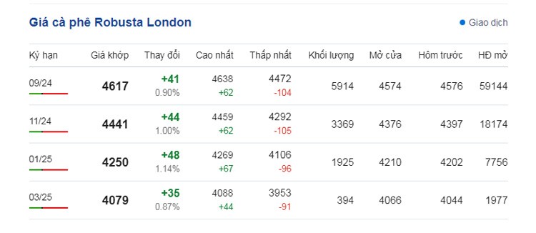 Dự báo giá cà phê ngày 15/7/2024: Tiếp đà tăng chạm mốc 130.000 đồng/kg