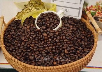 Giá cà phê hôm nay 15/7/2024: Neo ở mức cao hướng đến vùng đỉnh 130.000 đồng/kg