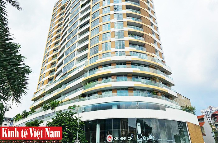 Dự án chung cư cao cấp và trung tâm thương mại Newtatco Dự án chung cư cao cấp và trung tâm thương mại Newtatco