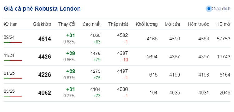 Dự báo giá cà phê ngày 17/7/2024: Dự báo giá cà phê ngày 17/7/2024: