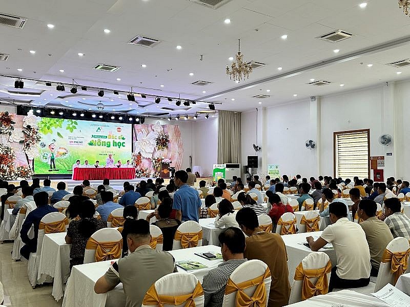 Toàn cảnh chương trình