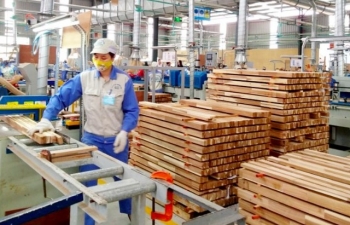 Quảng Trị tăng cường giải pháp thúc đẩy thương mại và xuất khẩu