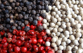 Brazil mất mùa diện rộng: Cơ hội nào cho ngành hồ tiêu Việt?