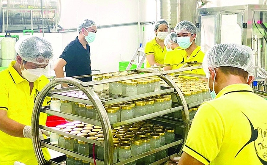 Thanh Hóa: Chuyển đổi số đạt được nhiều kết quả ấn tượng