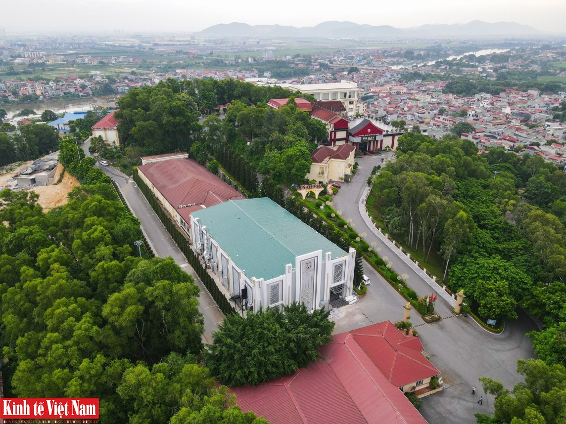 Công ty TNHH Tập đoàn Quốc tế Phượng Hoàng Công ty TNHH Tập đoàn Quốc tế Phượng Hoàng