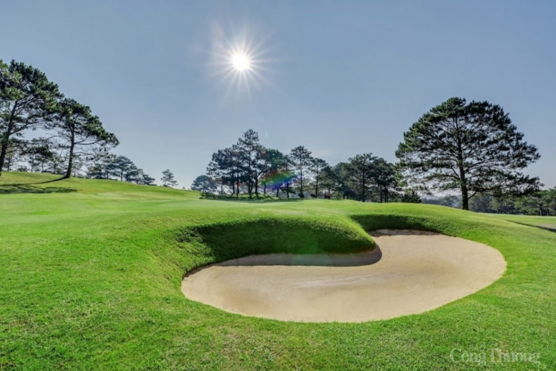 Lâm Đồng: Xử lý số tiền phạt về đất đai đối với chủ đầu tư sân Golf Đà Lạt ra sao? Lâm Đồng: Xử lý số tiền phạt về đất đai đối với chủ đầu tư sân Golf Đà Lạt ra sao?