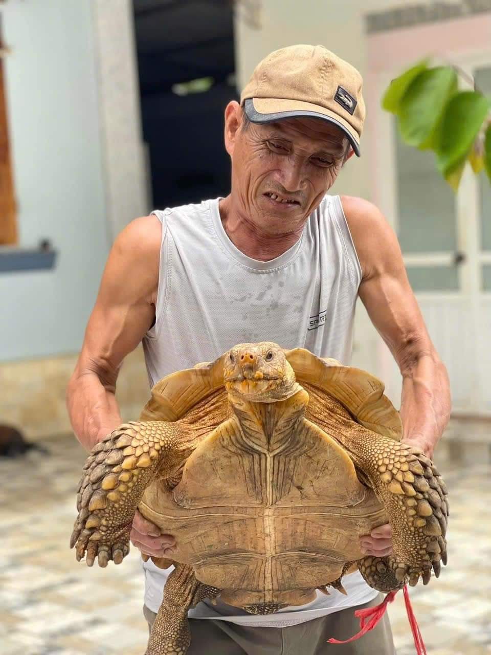 Hà Nội: Xôn xao bắt được 'cụ rùa' 60 kg, người dân mang lên chùa Hà Nội: Xôn xao bắt được 'cụ rùa' 60 kg, người dân mang lên chùa