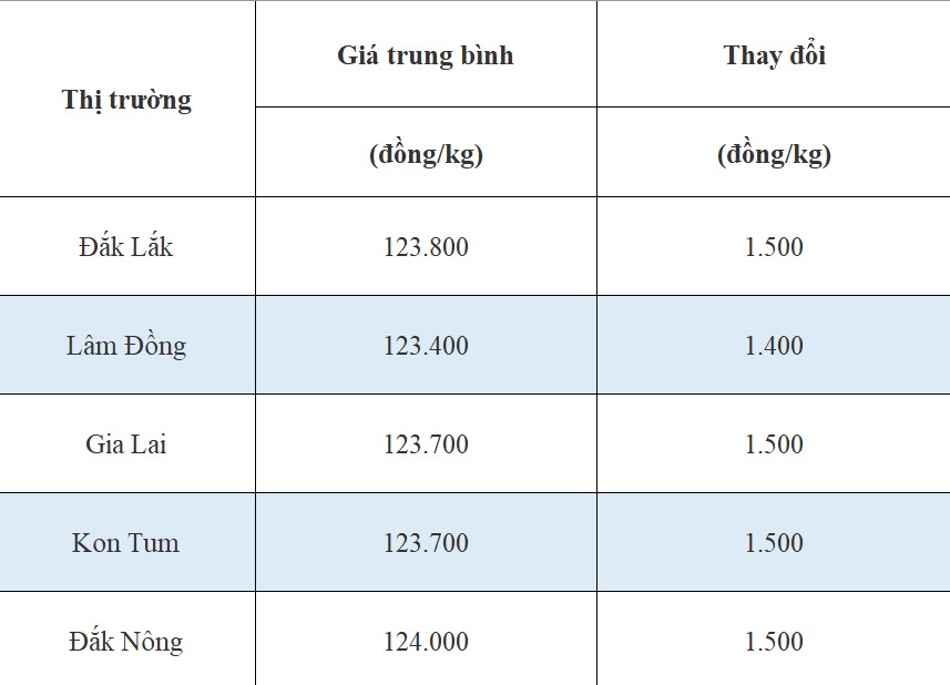 Giá cà phê hôm nay 28/7/2024: Giá cà phê hôm nay 28/7/2024: