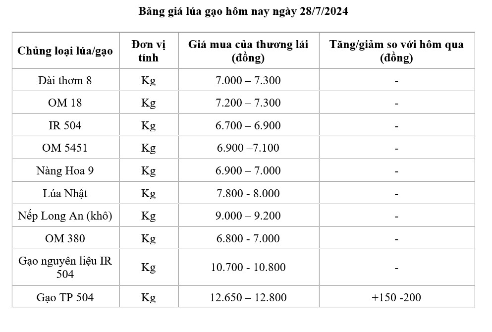 Giá lúa gạo hôm nay ngày 28/7: Giá gạo tăng 150 -200 đồng/kg Giá lúa gạo hôm nay ngày 28/7: Giá gạo tăng 150 -200 đồng/kg