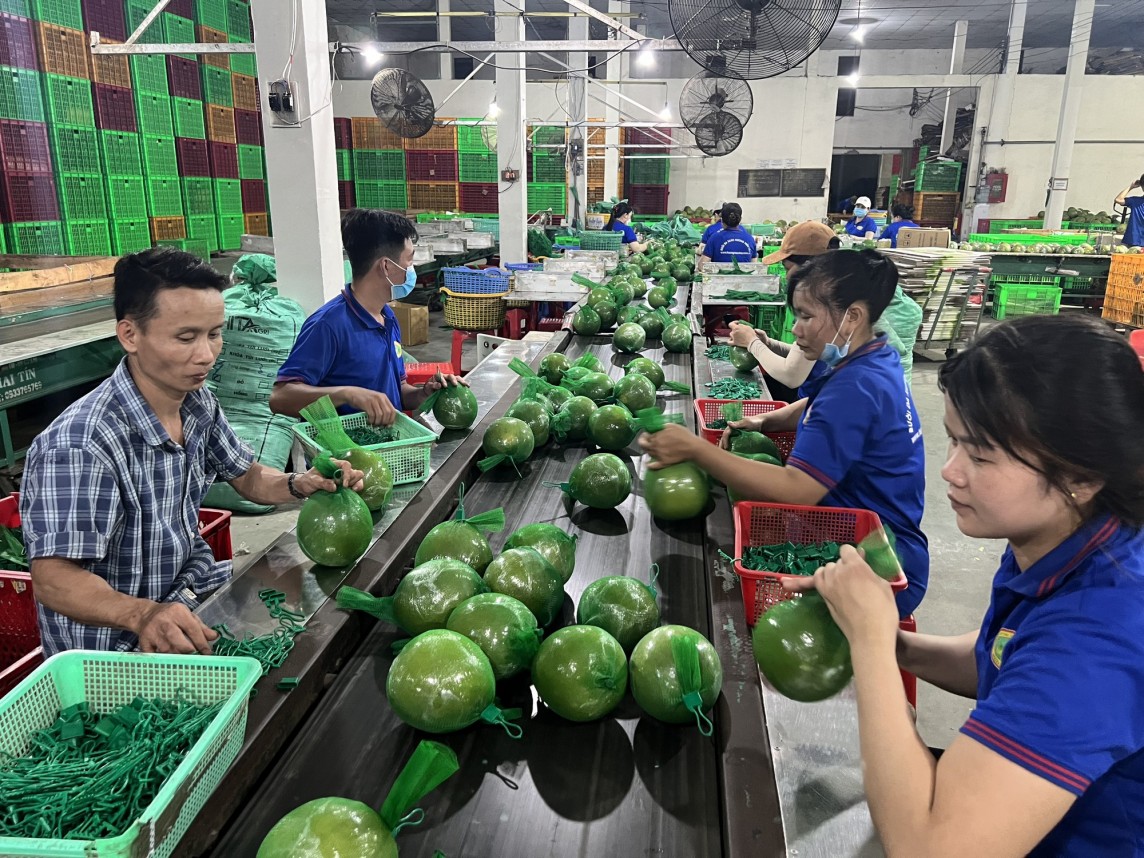 Đa dạnh hóa chuỗi cung ứng, thúc đẩy quan hệ hợp tác Việt Nam - Hoa Kỳ