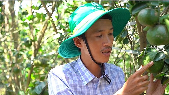 Canh tác bền vững để thu hoạch mùa vàng thịnh vượng là niềm trăn trở của đông đảo bà con Canh tác bền vững để thu hoạch mùa vàng thịnh vượng là niềm trăn trở của đông đảo bà con