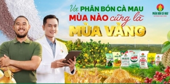 Với Phân bón Cà Mau - mùa nào cũng là mùa vàng