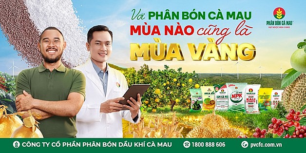 Với Phân Bón Cà Mau: Mùa nào cũng là mùa vàng Với Phân Bón Cà Mau: Mùa nào cũng là mùa vàng