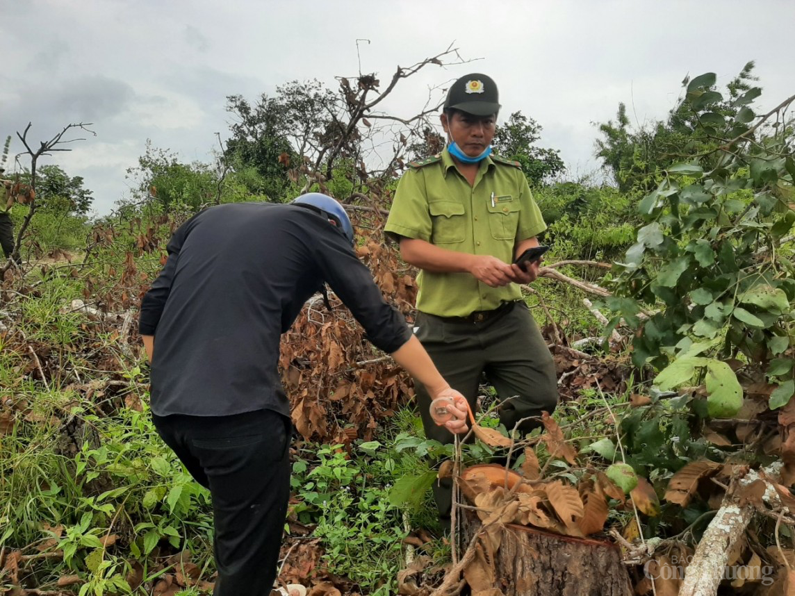 Sở Tài nguyên và Môi trường tỉnh Gia Lai đã làm lãng phí hàng chục tỷ đồng ngân sách Sở Tài nguyên và Môi trường tỉnh Gia Lai đã làm lãng phí hàng chục tỷ đồng ngân sách
