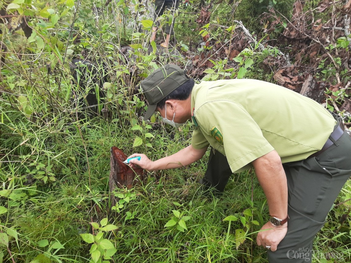 Sở Tài nguyên và Môi trường tỉnh Gia Lai đã làm lãng phí hàng chục tỷ đồng ngân sách Sở Tài nguyên và Môi trường tỉnh Gia Lai đã làm lãng phí hàng chục tỷ đồng ngân sách